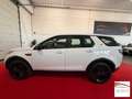 Land Rover Discovery Sport 2.0 td4 HSE Luxury awd 150cv auto Blanc - thumbnail 17