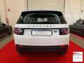 Land Rover Discovery Sport 2.0 td4 HSE Luxury awd 150cv auto Blanc - thumbnail 5
