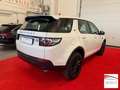 Land Rover Discovery Sport 2.0 td4 HSE Luxury awd 150cv auto Blanc - thumbnail 4