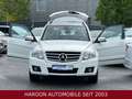 Mercedes-Benz GLK 320 CDI 4-MATIC EDITION 1/DESIGNO/PANO/XEN/ Blanc - thumbnail 24