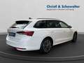 Skoda Octavia Combi 2.0TDI DSG Selection MATRIX 3ZAC Blanc - thumbnail 6