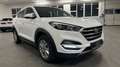 Hyundai TUCSON blue Intro Edition 2WD#LenkradHzg#Tempoma Weiß - thumbnail 8