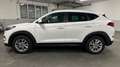 Hyundai TUCSON blue Intro Edition 2WD#LenkradHzg#Tempoma Weiß - thumbnail 3