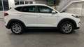 Hyundai TUCSON blue Intro Edition 2WD#LenkradHzg#Tempoma Weiß - thumbnail 9