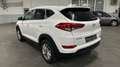 Hyundai TUCSON blue Intro Edition 2WD#LenkradHzg#Tempoma Weiß - thumbnail 6