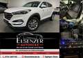 Hyundai TUCSON blue Intro Edition 2WD#LenkradHzg#Tempoma Weiß - thumbnail 1