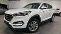 Hyundai TUCSON blue Intro Edition 2WD#LenkradHzg#Tempoma Weiß - thumbnail 2