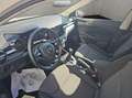 Skoda Fabia Ambition Blanco - thumbnail 9