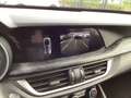 Alfa Romeo Stelvio 2.2jTD/1steEig/101000km/Cam&Pdc/LED/Cruise/Alu/Nav Zwart - thumbnail 17