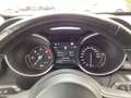 Alfa Romeo Stelvio 2.2jTD/1steEig/101000km/Cam&Pdc/LED/Cruise/Alu/Nav Zwart - thumbnail 18