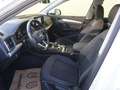Audi Q5 50 TFSI e quattro *FACELIFT+VIRTUAL+LED* Weiß - thumbnail 8