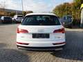 Audi Q5 50 TFSI e quattro *FACELIFT+VIRTUAL+LED* Weiß - thumbnail 6
