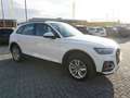 Audi Q5 50 TFSI e quattro *FACELIFT+VIRTUAL+LED* Weiß - thumbnail 3