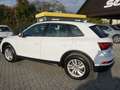 Audi Q5 50 TFSI e quattro *FACELIFT+VIRTUAL+LED* Weiß - thumbnail 5
