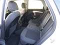 Audi Q5 50 TFSI e quattro *FACELIFT+VIRTUAL+LED* Weiß - thumbnail 13