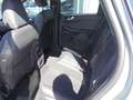 Ford Kuga Plug-In Hybrid ST-Line X 243PS LEASINGAKTION! Silber - thumbnail 6