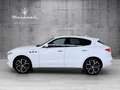 Maserati Levante GT *Facelift* Weiß - thumbnail 4