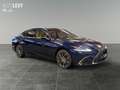 Lexus ES 300 h Business *SCHIEBEDACH*CARPLAY* Bleu - thumbnail 8