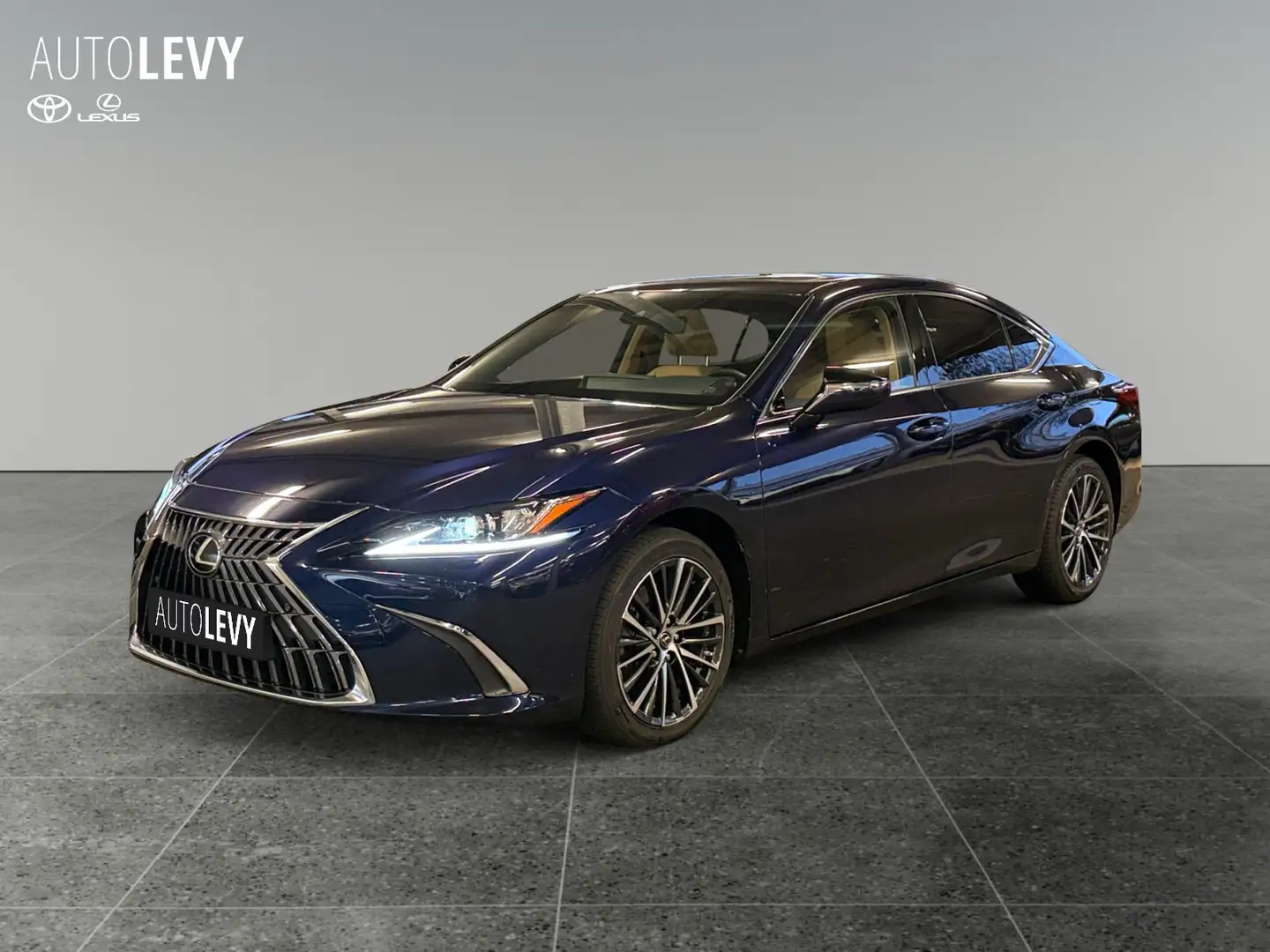 Lexus ES 300 h Business *SCHIEBEDACH*CARPLAY* Bleu - 2