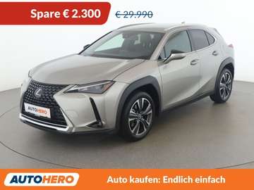 UX 250h Style Edition