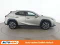 Lexus UX 250h UX 250h Style Edition Grau - thumbnail 7