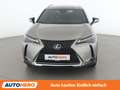 Lexus UX 250h UX 250h Style Edition Grau - thumbnail 9