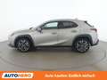 Lexus UX 250h UX 250h Style Edition Grau - thumbnail 3