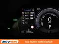 Lexus UX 250h UX 250h Style Edition Grau - thumbnail 26
