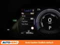 Lexus UX 250h UX 250h Style Edition Grau - thumbnail 27