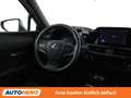 Lexus UX 250h UX 250h Style Edition Grau - thumbnail 13