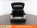 Lexus UX 250h UX 250h Style Edition Grau - thumbnail 16