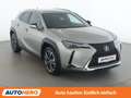 Lexus UX 250h UX 250h Style Edition Grau - thumbnail 8