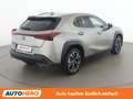 Lexus UX 250h UX 250h Style Edition Grau - thumbnail 6