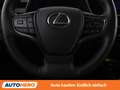 Lexus UX 250h UX 250h Style Edition Grau - thumbnail 19