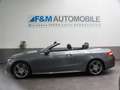 Mercedes-Benz E 220 d Aut.Cabrio AMG Navi Leder Widescreen 360 Grau - thumbnail 13