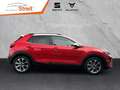 Kia Stonic Platinum Edition 1.0 TGDI DCT AHK Navi LED Leder Rot - thumbnail 6