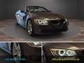 BMW 320 d Cabrio Aut. Grau - thumbnail 14