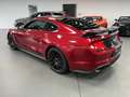 Ford Mustang 2,3l EcoBoost *GT350 KIT/AUT./SHZ/* Rouge - thumbnail 7