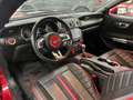 Ford Mustang 2,3l EcoBoost *GT350 KIT/AUT./SHZ/* Rouge - thumbnail 12
