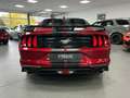 Ford Mustang 2,3l EcoBoost *GT350 KIT/AUT./SHZ/* Rouge - thumbnail 8