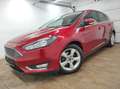 Ford Focus 1.0  NAVI KLIMAA LED PDCv+h EMP BC SHZ USB EURO-6 Rouge - thumbnail 17