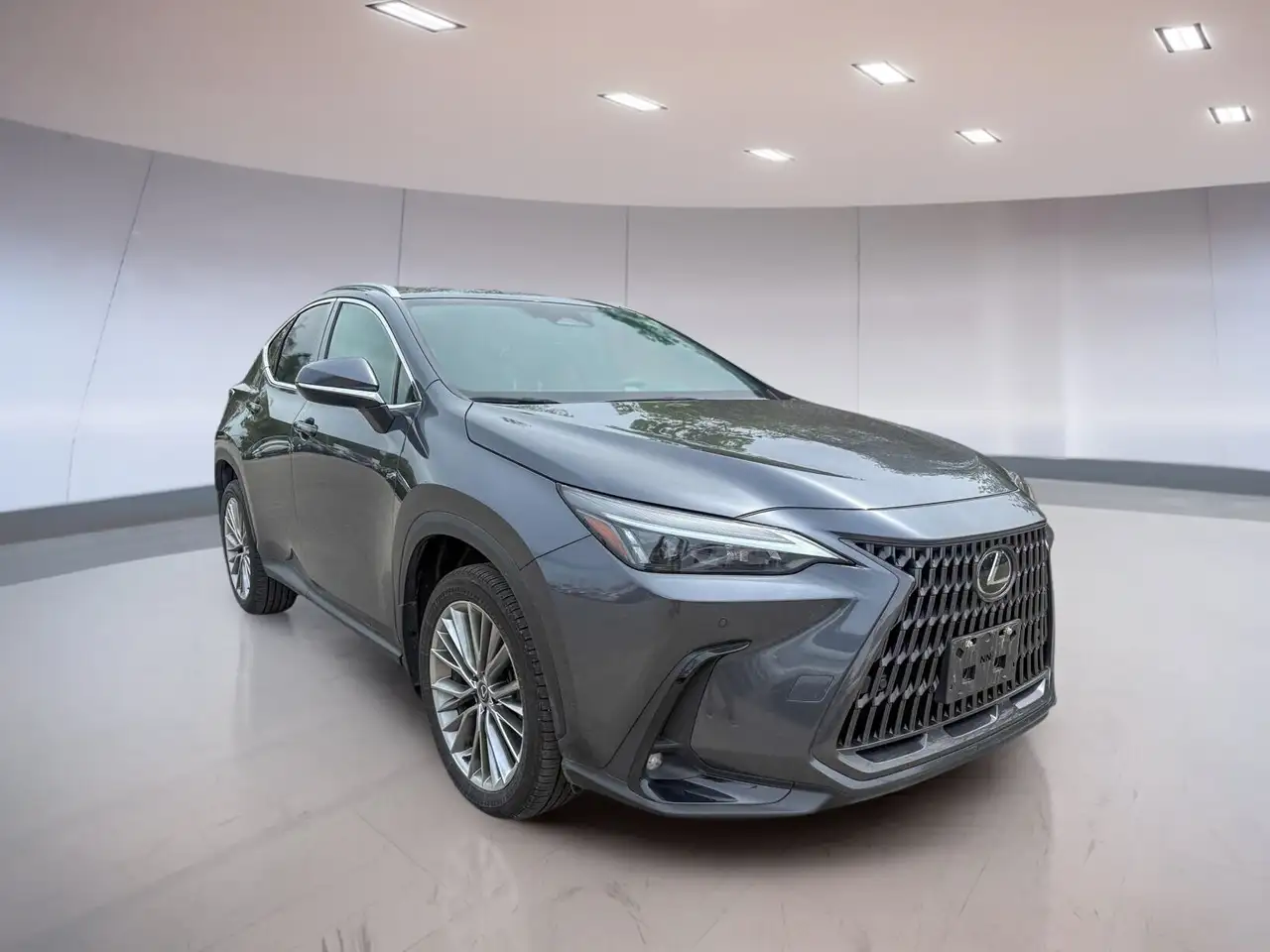 Lexus NX fotografie Lexus NX