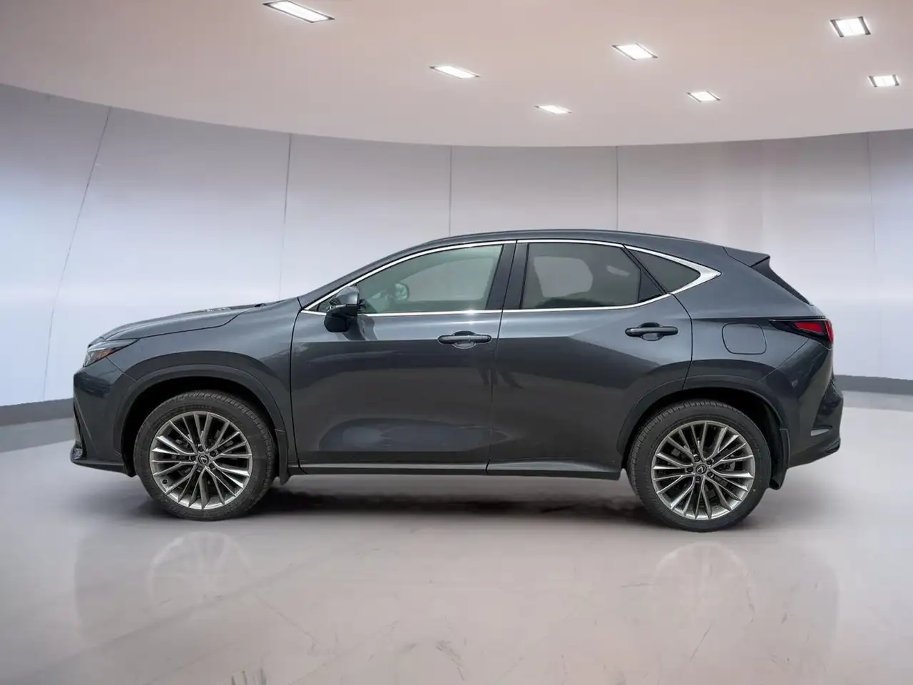 Lexus NX fotografie Lexus NX