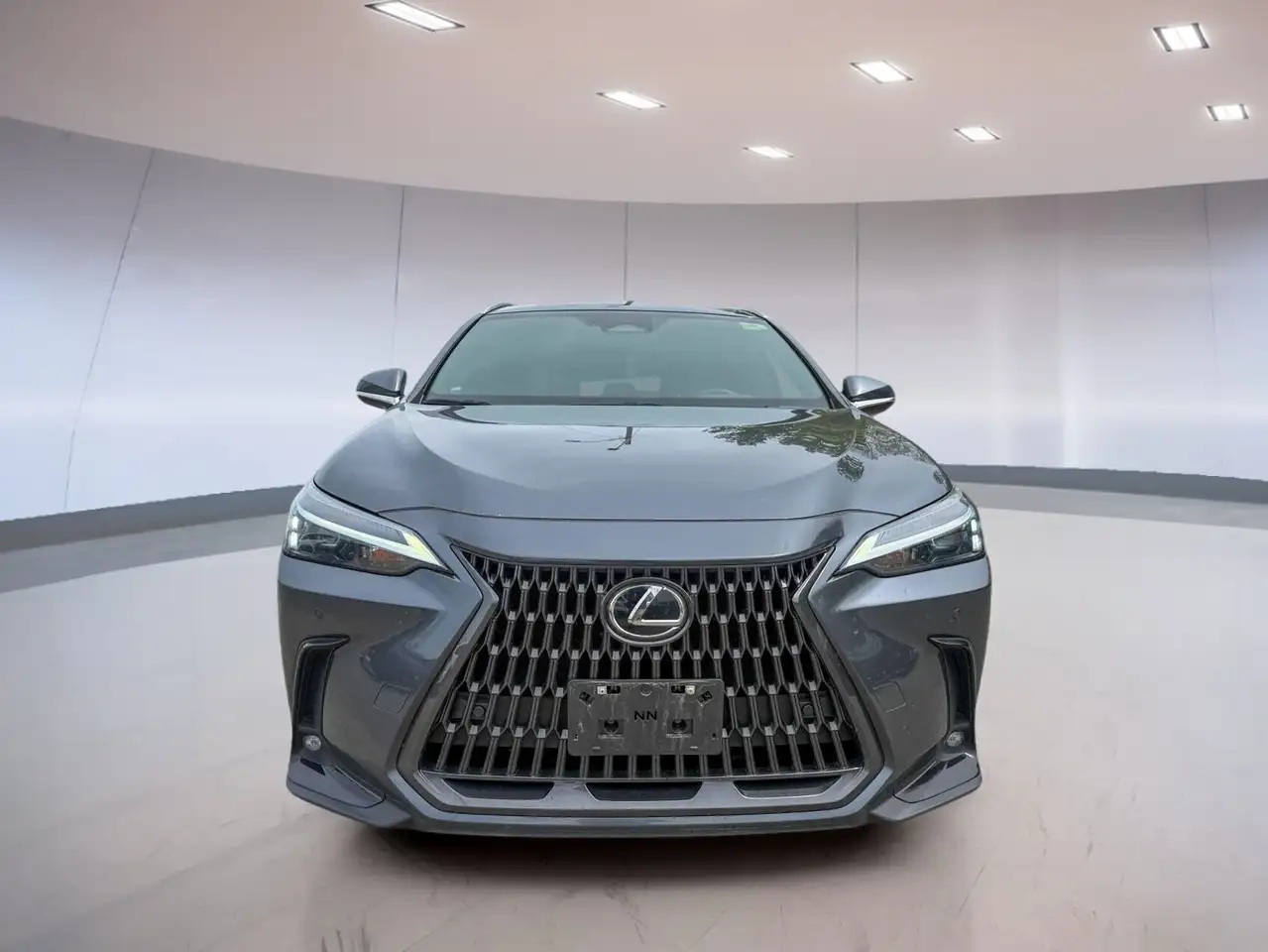 Lexus NX fotografie Lexus NX