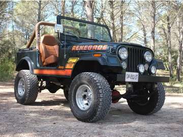 CJ7 Renegade V8 Chevrolet 5,7L- 1981