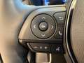 Toyota RAV 4 Adventure 2,5 l 4x4 Hybrid Grau - thumbnail 19