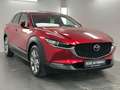 Mazda CX-30 Selection Automatik Kamera Acc Led Dab Rot - thumbnail 4