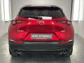 Mazda CX-30 Selection Automatik Kamera Acc Led Dab Rot - thumbnail 9