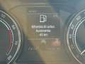 Skoda Kamiq Kamiq 1.0 Metano 90cv NEOPATENTATI Blu/Azzurro - thumbnail 10