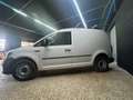 Volkswagen Caddy bluemotion Weiß - thumbnail 2